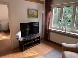 Wohnzimmer mit Fernseher